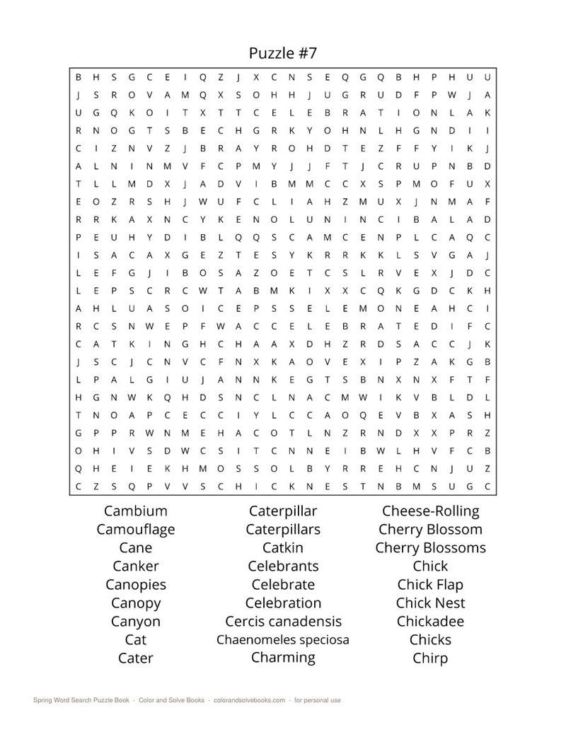 Page sample 1 from Spring Word Search Puzzle Book