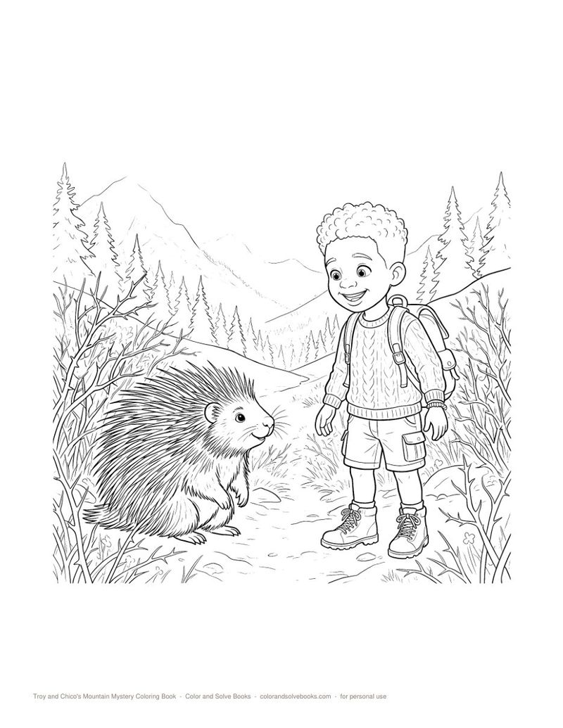 Page sample 2 from Mountain Mystery Coloring Book